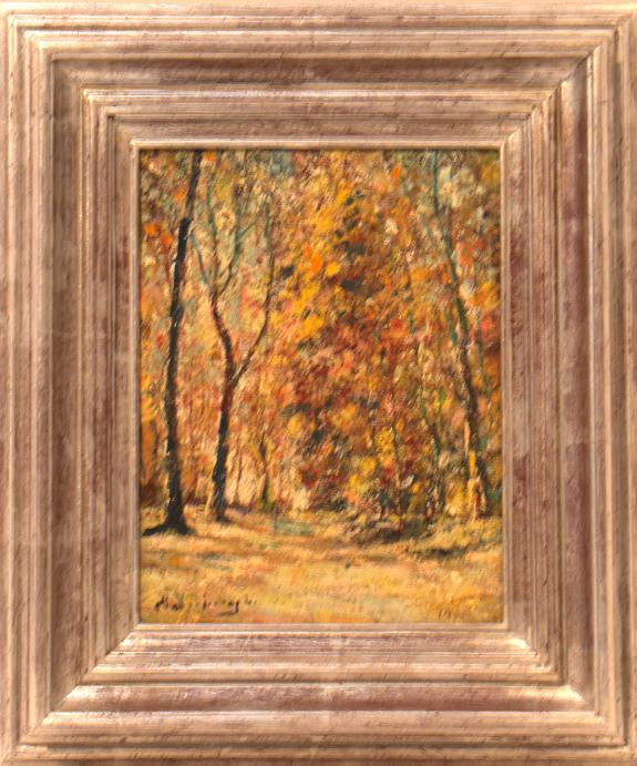 Kleurrijk Boszicht CV